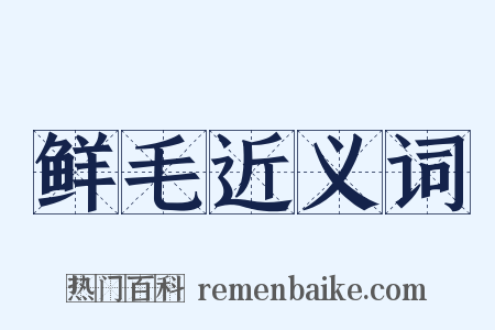 鲜毛近义词是什么意思的图片